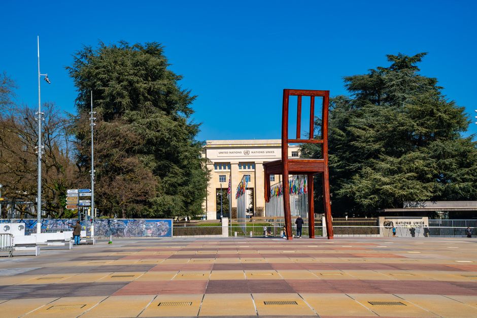 Prezența urșilor în Argeș: Topoloveni, Lerești și Micești sub observație