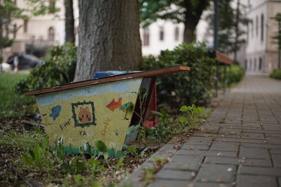 Ghid practic de reciclare în Pitești: ce, unde și cum reciclăm corect